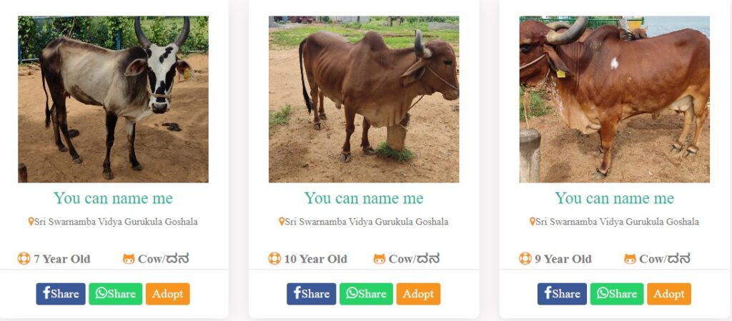 adopt cow karnataka