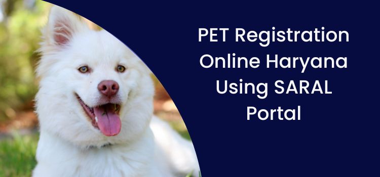 sarsal pet registration online haryana