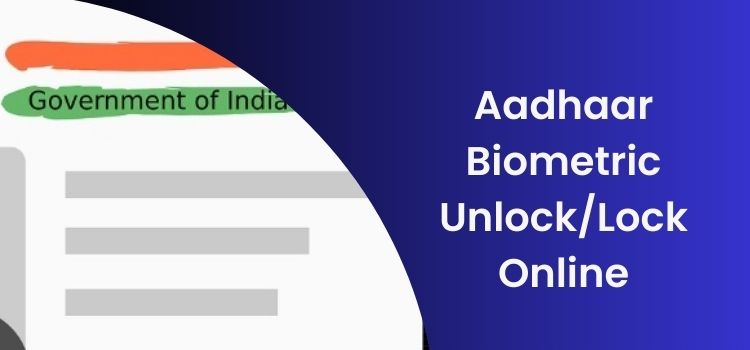 aadhaar biometric unlock online