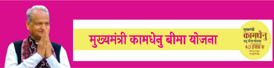 mukhyamantri kamdhenu pashu bima yojana