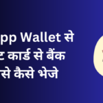 payzapp-wallet-to-bank